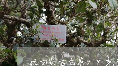 极白安吉白茶99克多少钱/2023033067169