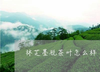 林芝墨脱茶叶怎么样/2023032230570