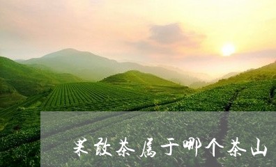 果敢茶属于哪个茶山/2023041668494