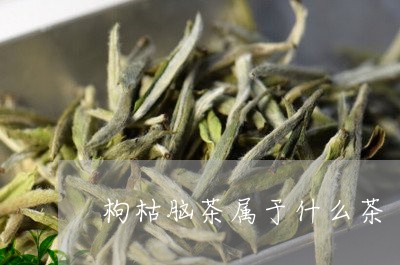 枸枯脑茶属于什么茶/2023031992794