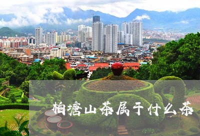 柏塘山茶属于什么茶/2023041570628