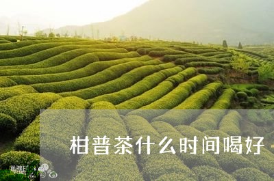 柑普茶什么时间喝好/2023032149503