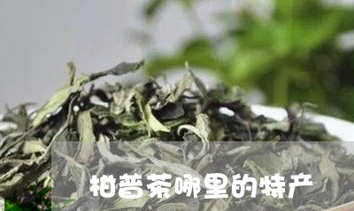 柑普茶哪里的特产/2023032673048