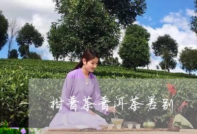 柑普茶普洱茶差别/2023041159393