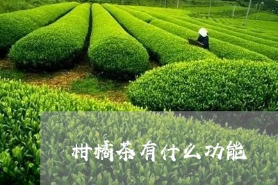 柑橘茶有什么功能/2023032231612