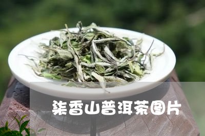 柒香山普洱茶图片/2023040955260