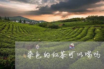 染色的红茶可以喝吗/2023041501797