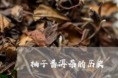 柚子普洱茶的历史/2023041212715