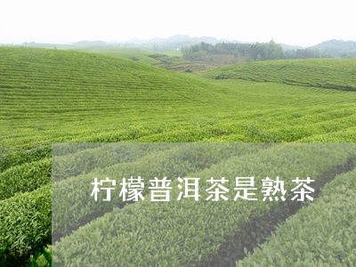 柠檬普洱茶是熟茶/2023041106150