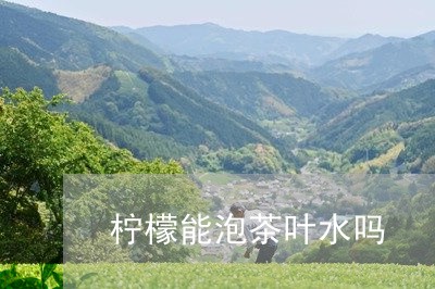 柠檬能泡茶叶水吗/2023032657282