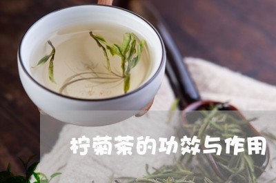 柠菊茶的功效与作用/2023032142958