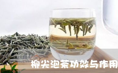 柳尖泡茶功效与作用/2023041692126