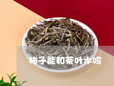 柿子能和茶叶水吗/2023032682593