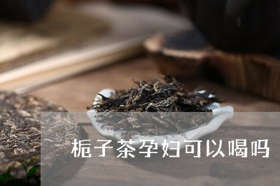 栀子茶孕妇可以喝吗/2023031818259