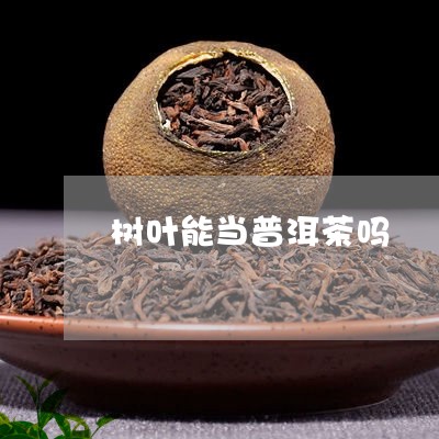 树叶能当普洱茶吗/2023040127592