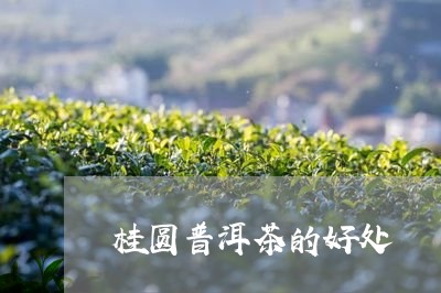 桂圆普洱茶的好处/2023031759402