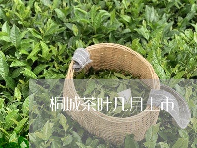 桐城茶叶几月上市/2023032574827