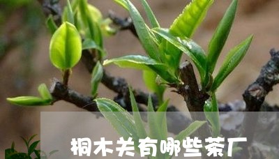 桐木关有哪些茶厂/2023032489390