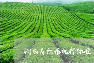 桐木关红茶执行标准/2023031918160