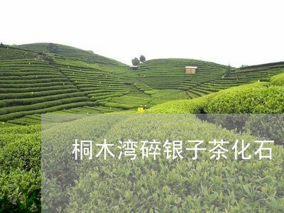 桐木湾碎银子茶化石/2023041648391