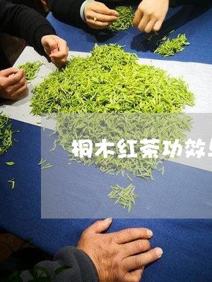 桐木红茶功效与作用/2023031976149