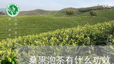 桑果泡茶有什么功效/2023032090504