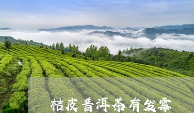 桔皮普洱茶有发霉/2023040927158