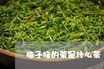 梅子味的茶是什么茶/2023041673624