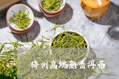 梅州高端熟普洱茶/2023031680492