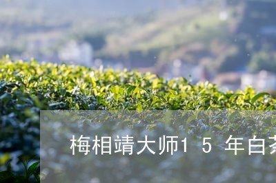 梅相靖大师15年白茶价格/2023033128793