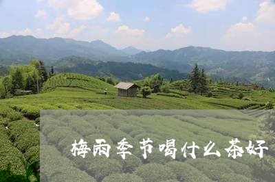 梅雨季节喝什么茶好/2023041691917