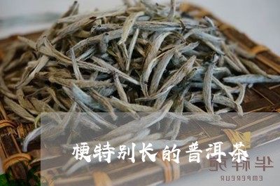 梗特别长的普洱茶/2023040105148