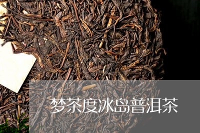 梦茶度冰岛普洱茶/2023041357270