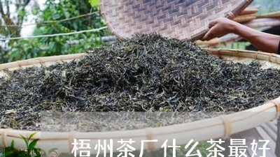 梧州茶厂什么茶最好/2023032056371