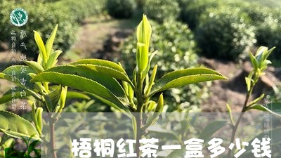 梧桐红茶一盒多少钱/2023041432793