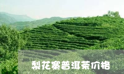 梨花寨普洱茶价格/2023031818162