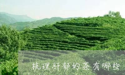 梳理肝郁的茶有哪些/2023032061625