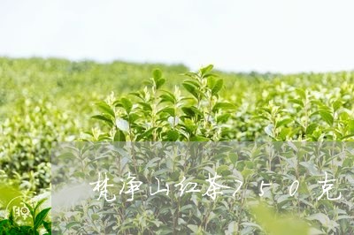 梵净山红茶750克/2023031855059