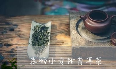 森晒小青柑普洱茶/2023033057379