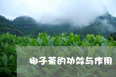 椒子茶的功效与作用/2023041782625