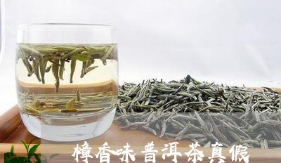 樟香味普洱茶真假/2023041094726