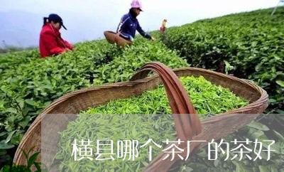 横县哪个茶厂的茶好/2023041630503