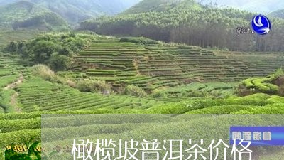 橄榄坡普洱茶价格/2023041014916