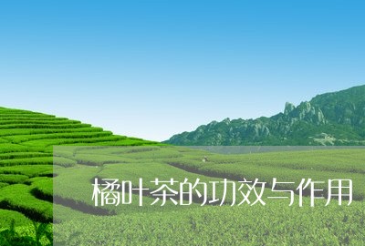 橘叶茶的功效与作用/2023041735181