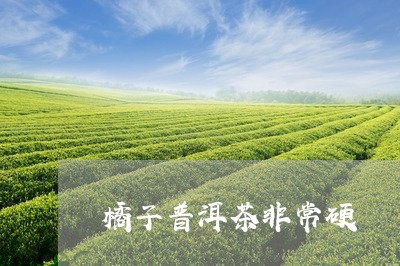 橘子普洱茶非常硬/2023041045058