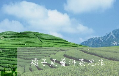 橘子皮普洱茶泡法/2023031684958