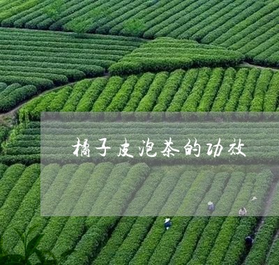 橘子皮泡茶的功效/2023032402036