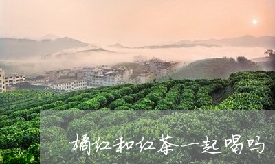 橘红和红茶一起喝吗/2023041596143