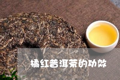 橘红普洱茶的功效/2023041292704