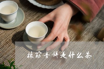 橡筋青饼是什么茶/2023032497260